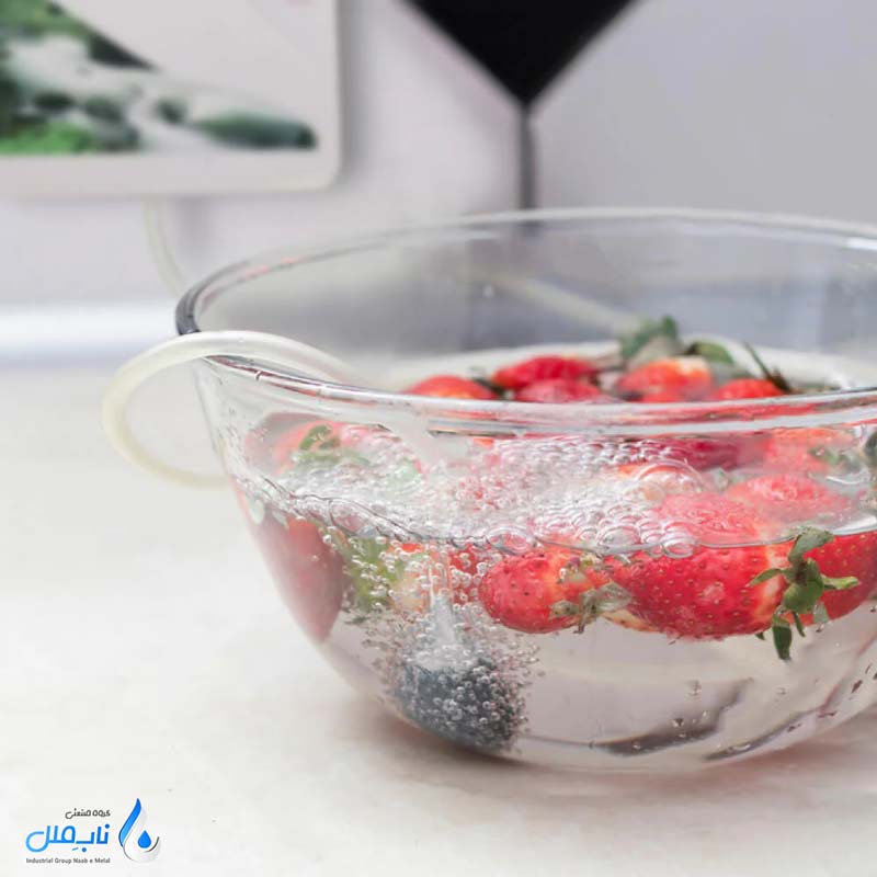 نکات ایمنی برای استفاده ازن در شستشوی میوه و سبزیجات