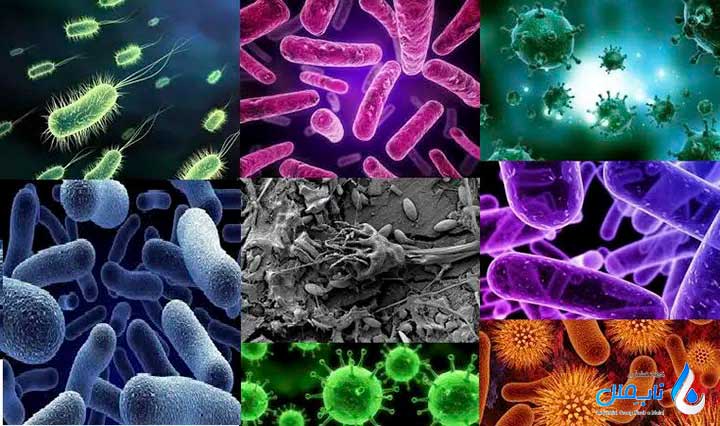انواع باکتری های فاضلاب