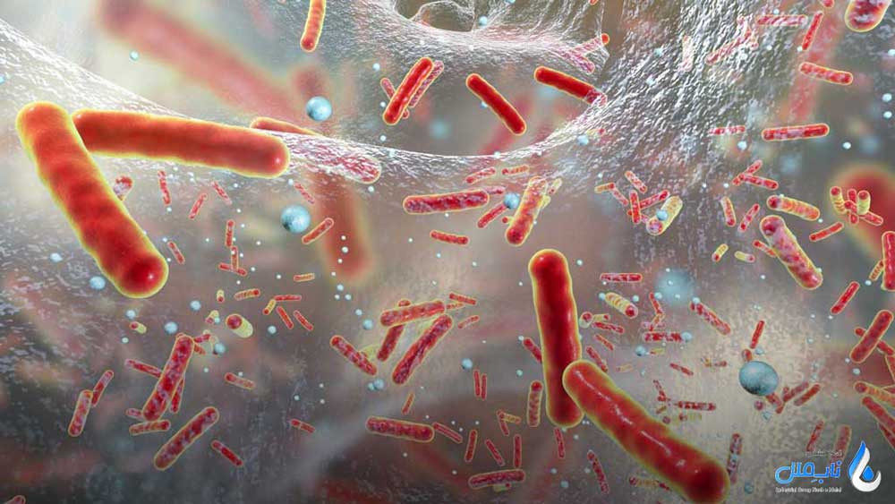 عوامل موثر بر رشد باکتری های فاضلاب