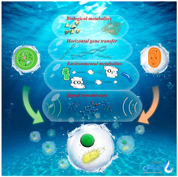 پارامترهای شیمیایی موثر بر رشد باکتری های فاضلاب