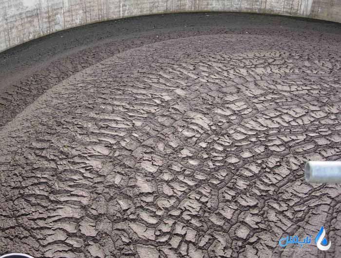 انواع لجن فاضلاب در تصفیه خانه ها