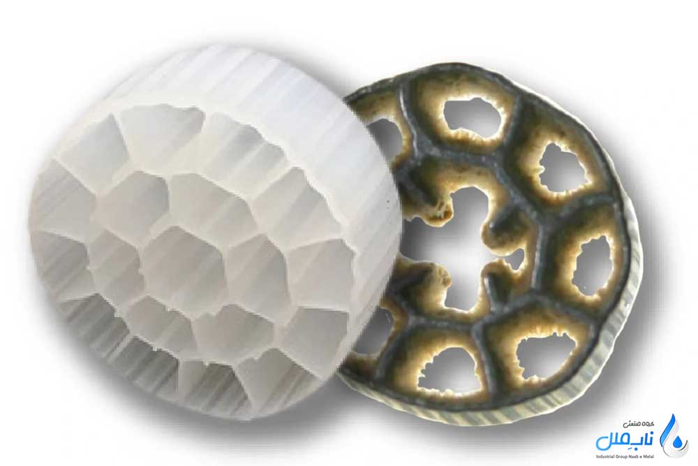 عوامل موثر در تشکیل بیوفیلم