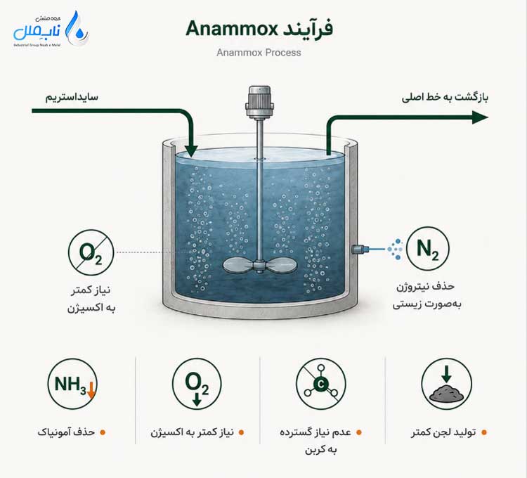 فرآیند Anammox در تصفیه جریان ها برگشتی