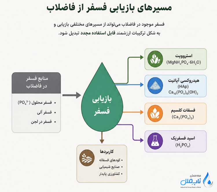 مسیرهای بازیابی فسفر از فاضلاب